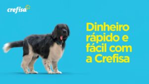 Empréstimo Crefisa: saiba como operam os processos!