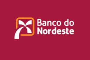 Banco do Nordeste: entenda o funcionamento do crédito para microempresas